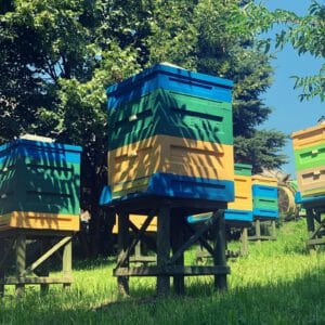 Stojak drewniany pod ul wielkopolski i inne.... - obrazek 5
