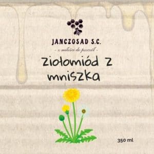Ziołomiód z mniszka lekarskiego - obrazek 3