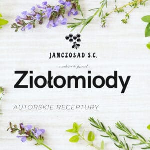 Ziołomiód z mniszka lekarskiego - obrazek 2